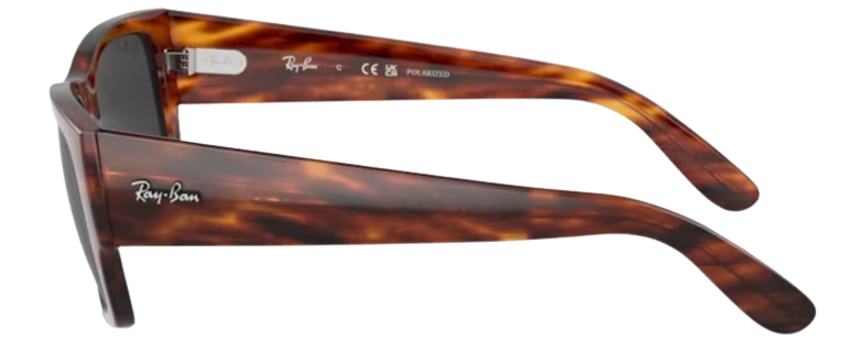 Gafas de Sol Ray-Ban Carlos RB0947S