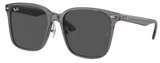 Lunettes de Soleil Ray-Ban RB2206D