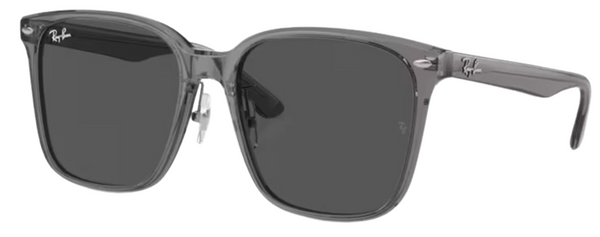 Zonnebrillen Ray-Ban RB2206D