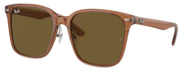 Óculos de Sol Ray-Ban RB2206D