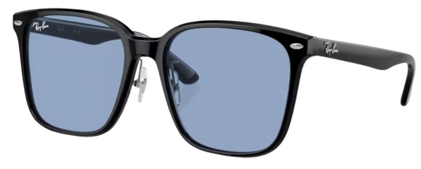 Zonnebrillen Ray-Ban RB2206D