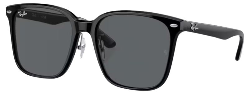 Óculos de Sol Ray-Ban RB2206D
