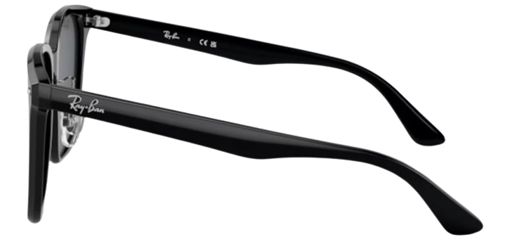 Óculos de Sol Ray-Ban RB2206D