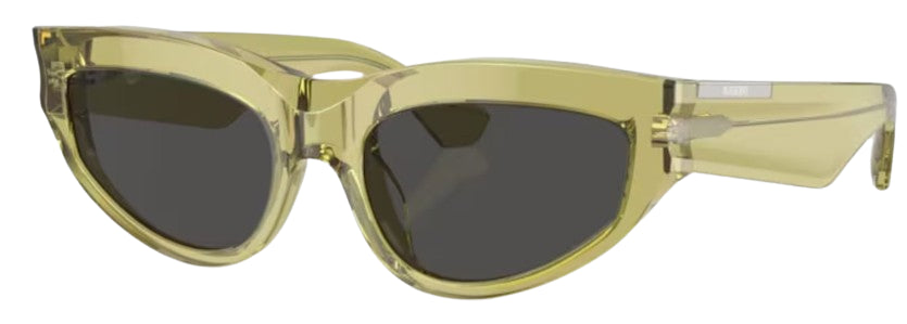 Óculos de Sol Burberry BE4425U