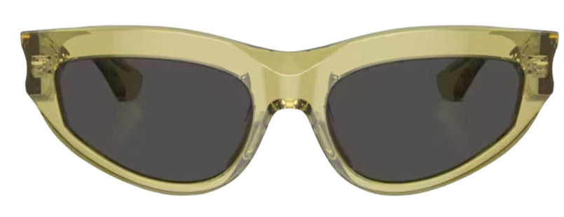 Óculos de Sol Burberry BE4425U