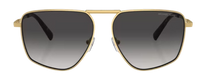 Óculos de Sol Michael Kors Silverton MK1153