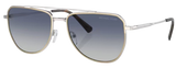 Occhiali da Sole Michael Kors Whistler MK1155