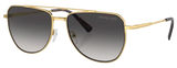 Occhiali da Sole Michael Kors Whistler MK1155