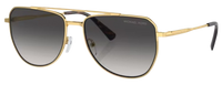 Óculos de Sol Michael Kors Whistler MK1155
