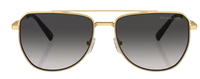 Óculos de Sol Michael Kors Whistler MK1155