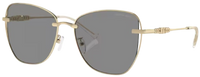 Zonnebril Michael Kors Beijing MK1158D