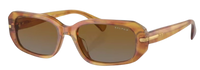 Óculos de sol Ralph Lauren RA5311U