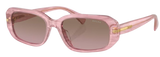Gafas de sol Ralph Lauren RA5311U