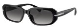 Gafas de sol Ralph Lauren RA5311U