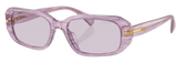 Gafas de sol Ralph Lauren RA5311U