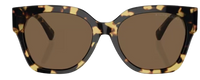 Sonnenbrille Ralph Lauren RL8221