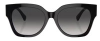 Sonnenbrille Ralph Lauren RL8221