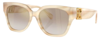 Sonnenbrille Ralph Lauren RL8221