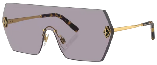 Sonnenbrille Ralph Lauren RL7085