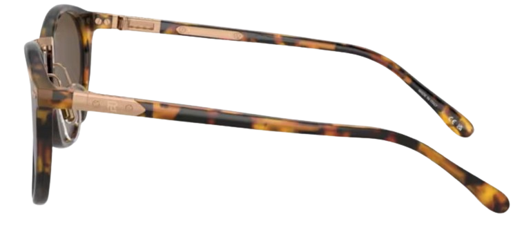 Ralph Lauren RL8223 Sunglasses