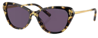 Gafas de sol Ralph Lauren RL8224U