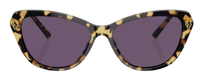 Gafas de sol Ralph Lauren RL8224U