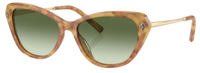 Gafas de sol Ralph Lauren RL8224U