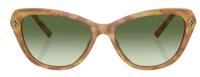 Gafas de sol Ralph Lauren RL8224U