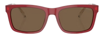 Óculos de Sol Emporio Armani EA4224