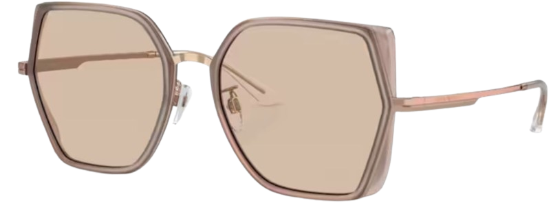 Óculos de Sol Emporio Armani EA2142D