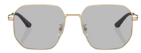 Sonnenbrille Emporio Armani EA2154D