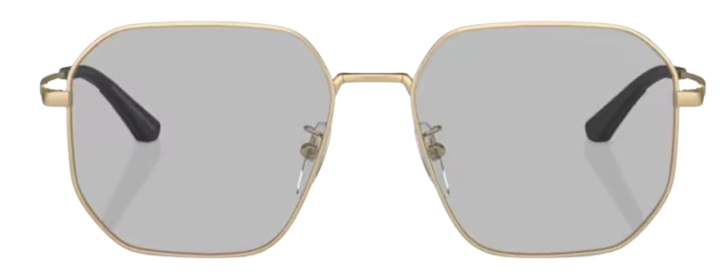 Sonnenbrille Emporio Armani EA2154D
