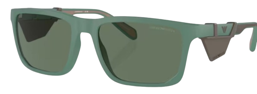 Sonnenbrille Emporio Armani EA4219