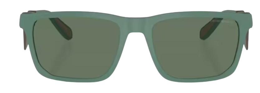 Sonnenbrille Emporio Armani EA4219