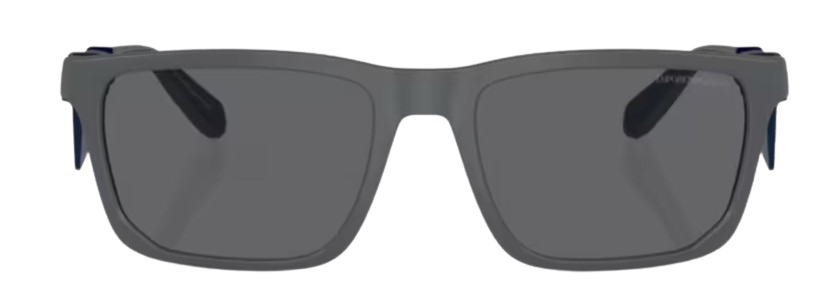 Sonnenbrille Emporio Armani EA4219