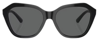 Gafas de sol Emporio Armani EA4221