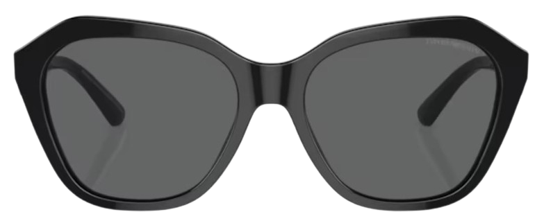 Gafas de sol Emporio Armani EA4221