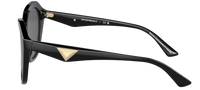 Gafas de sol Emporio Armani EA4221
