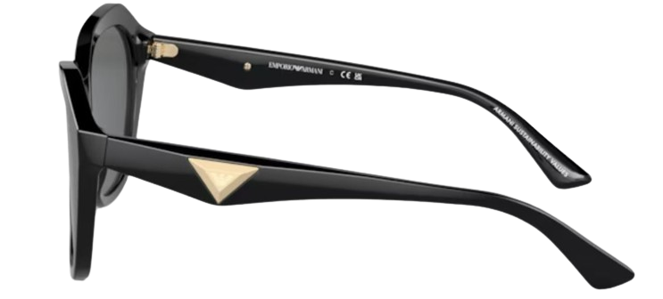Gafas de sol Emporio Armani EA4221