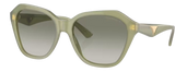 Gafas de sol Emporio Armani EA4221