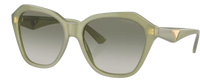 Gafas de sol Emporio Armani EA4221