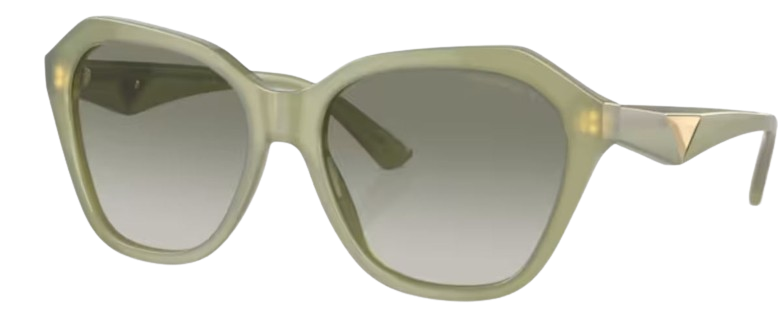 Gafas de sol Emporio Armani EA4221