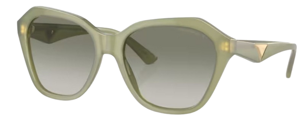 Сонцезахисні окуляри Emporio Armani EA4221