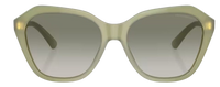 Gafas de sol Emporio Armani EA4221