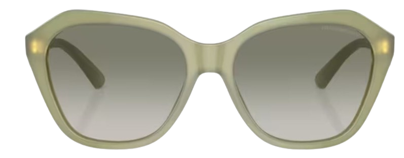 Gafas de sol Emporio Armani EA4221