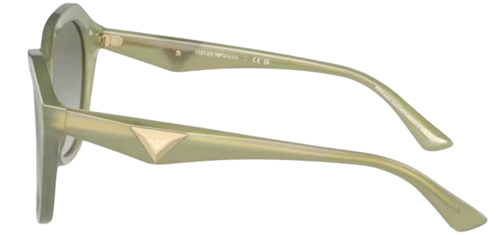 Gafas de sol Emporio Armani EA4221