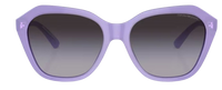 Gafas de sol Emporio Armani EA4221