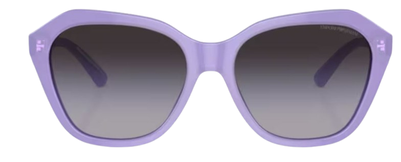 Gafas de sol Emporio Armani EA4221