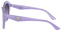 Gafas de sol Emporio Armani EA4221