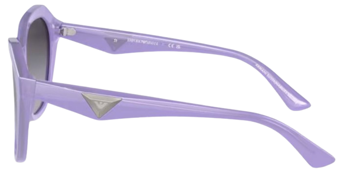 Gafas de sol Emporio Armani EA4221